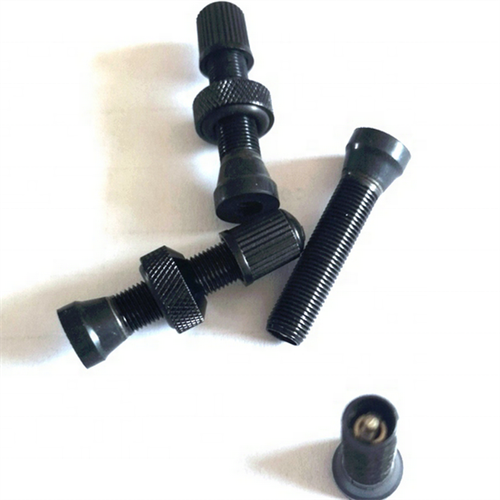Schrader Tubeless Valve Stem For Mountain Bike